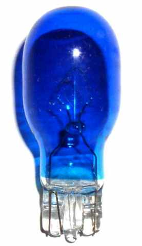 Miniature Bulbs | Colored - Image 15