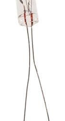 Miniature Bulbs | Clear - Image 46