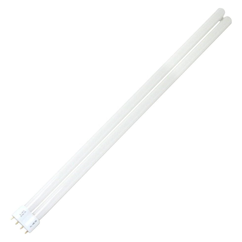 Duo-Tube Compact Fluorescent Bulbs