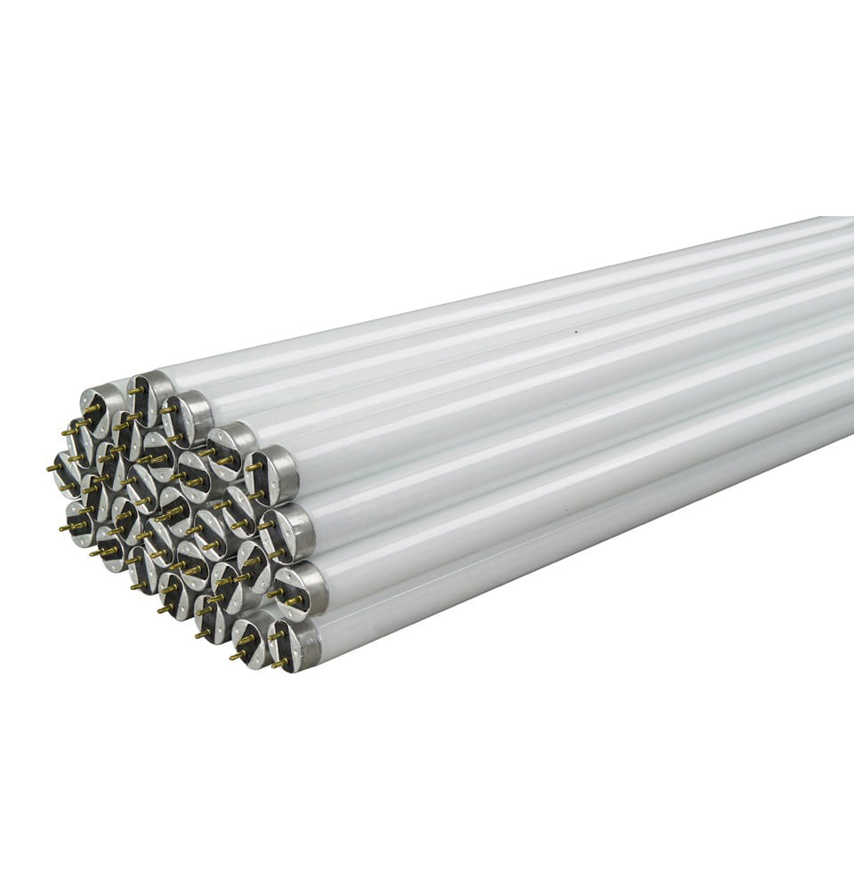Fluorescent Lamps