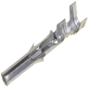 Molex Female Pins - Image 2