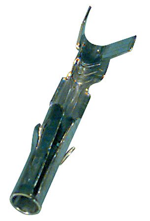 Molex Female Pins